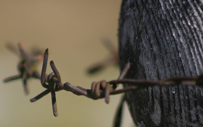 Barbed Wire on Wooden Post — Brown, Dramatic