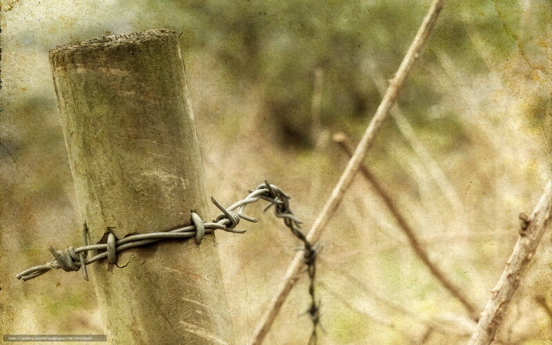 Barbed Wire on Wooden Post — Brown, Somber