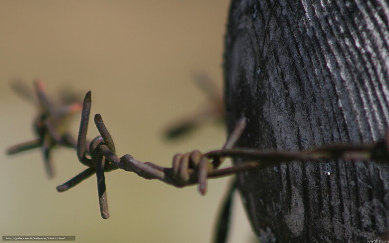 Barbed Wire on Wooden Post — Brown