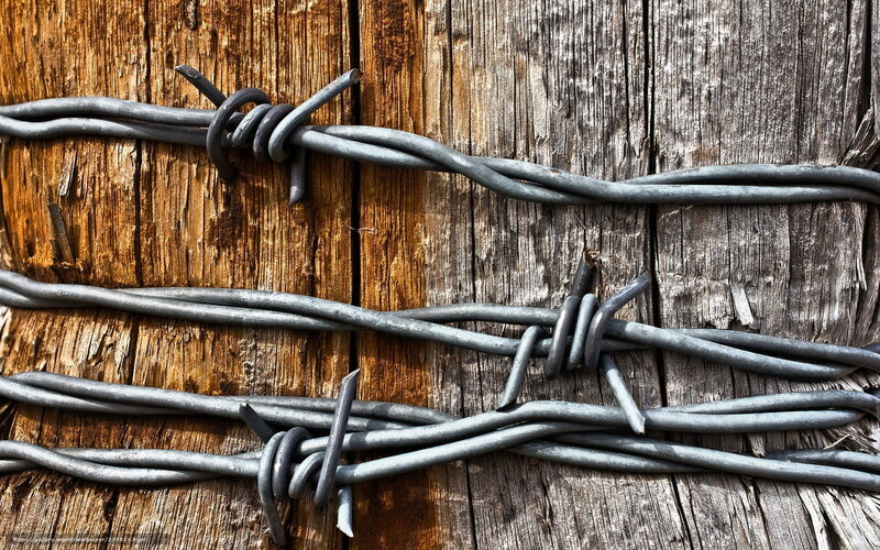 barbed wire on wooden post