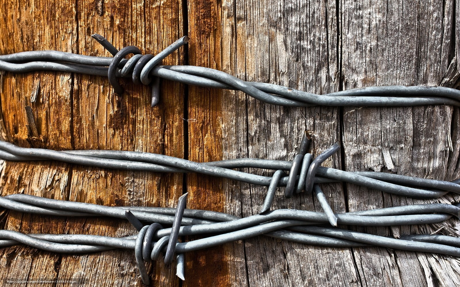 barbed wire on wooden post