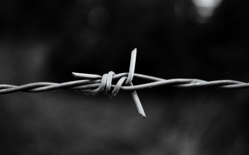 Barbed Wire Strand — Black