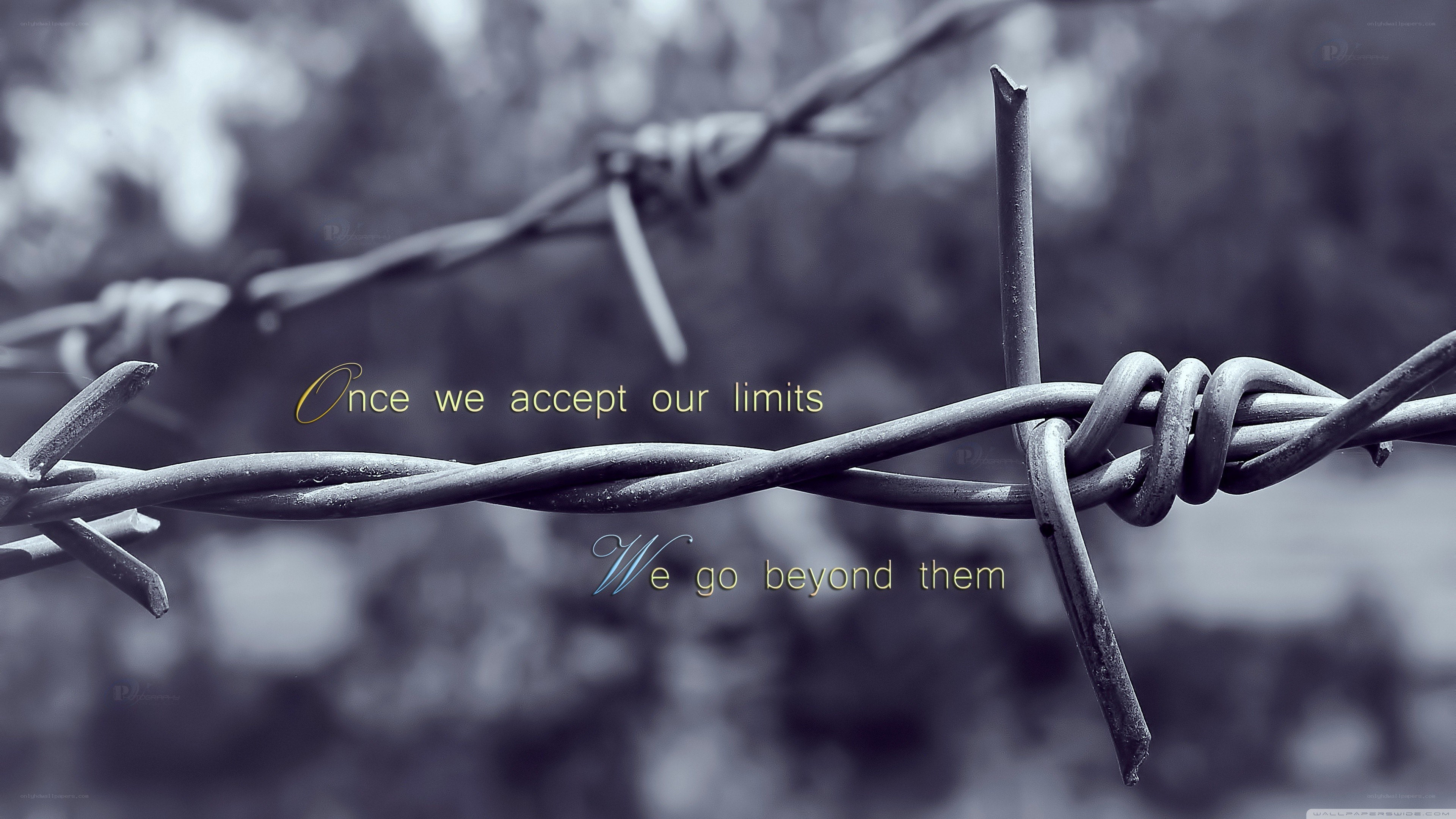 Barbed wire with inspirational quote