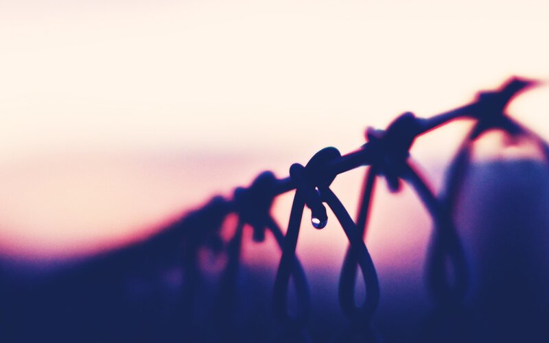 Barbed Wire with Water Droplet — Purple