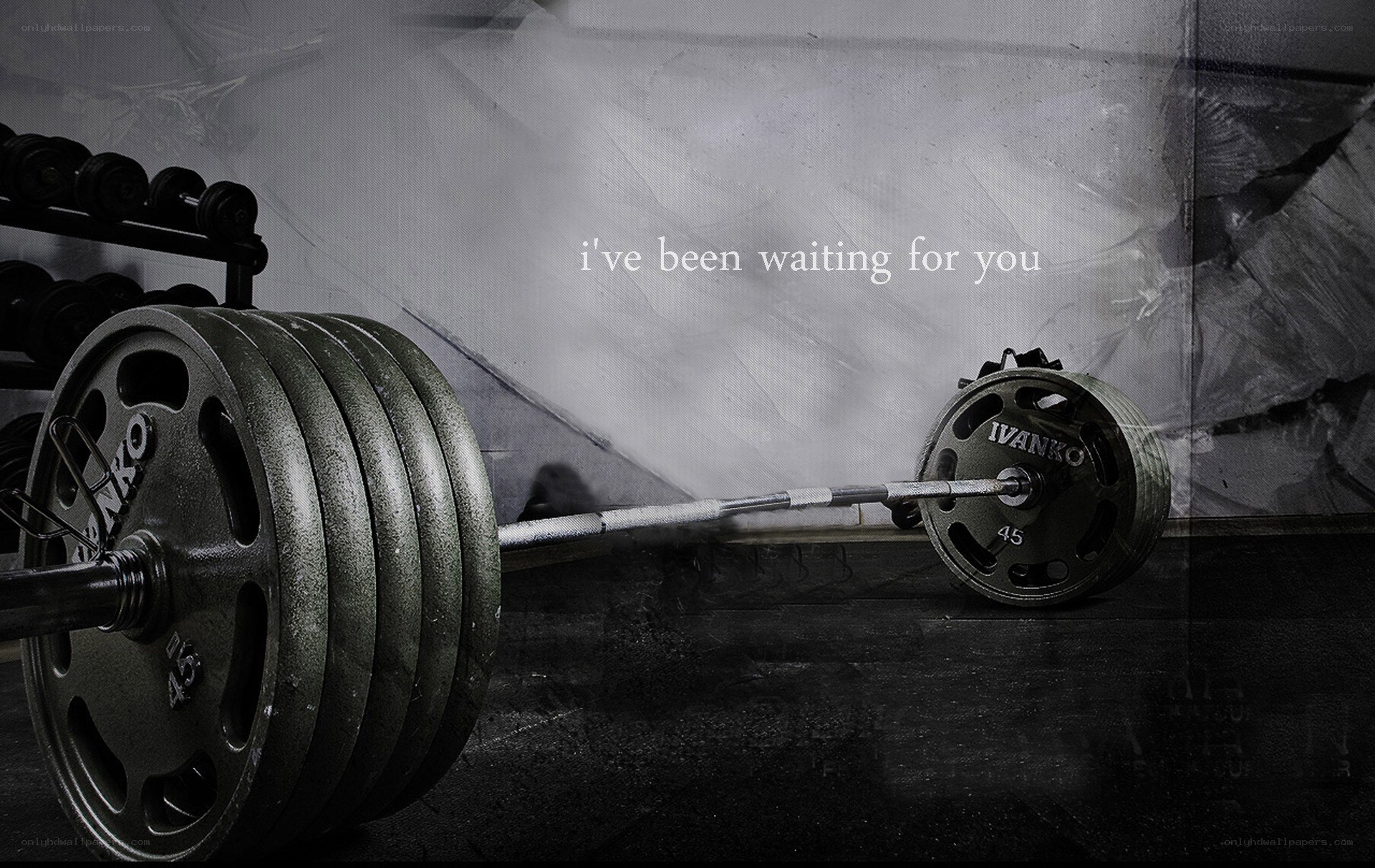 barbell in gym setting