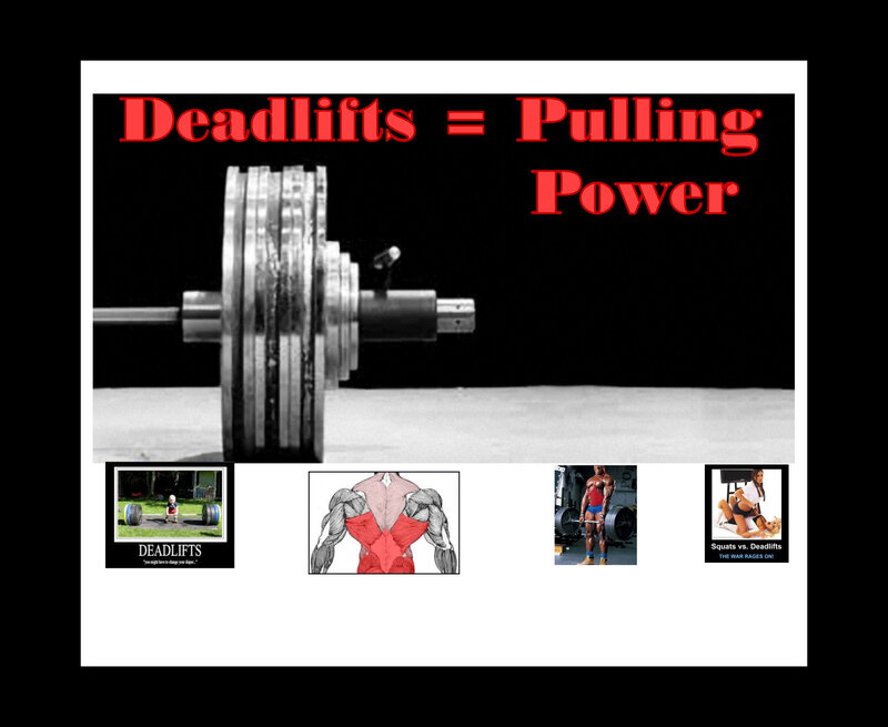 Barbell on Floor