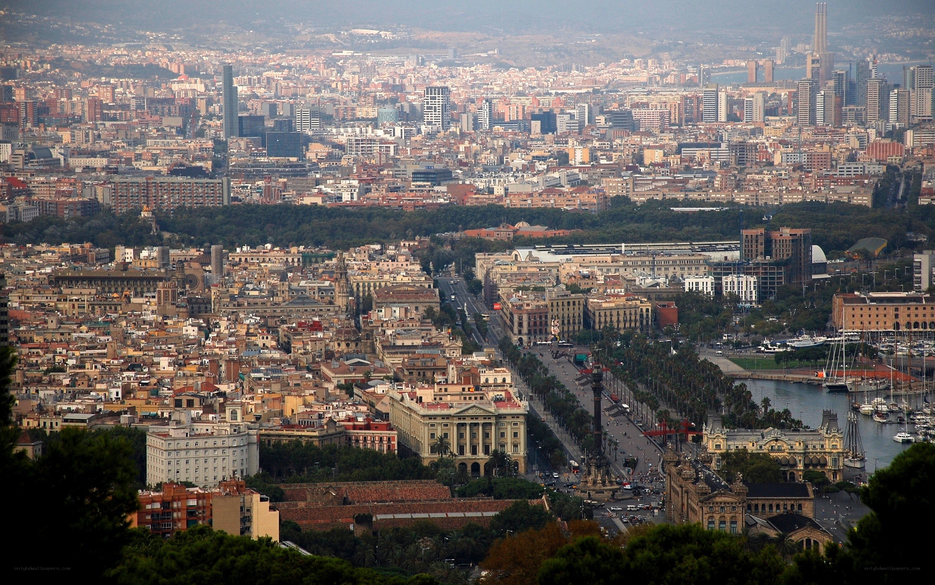 Barcelona cityscape from a hill