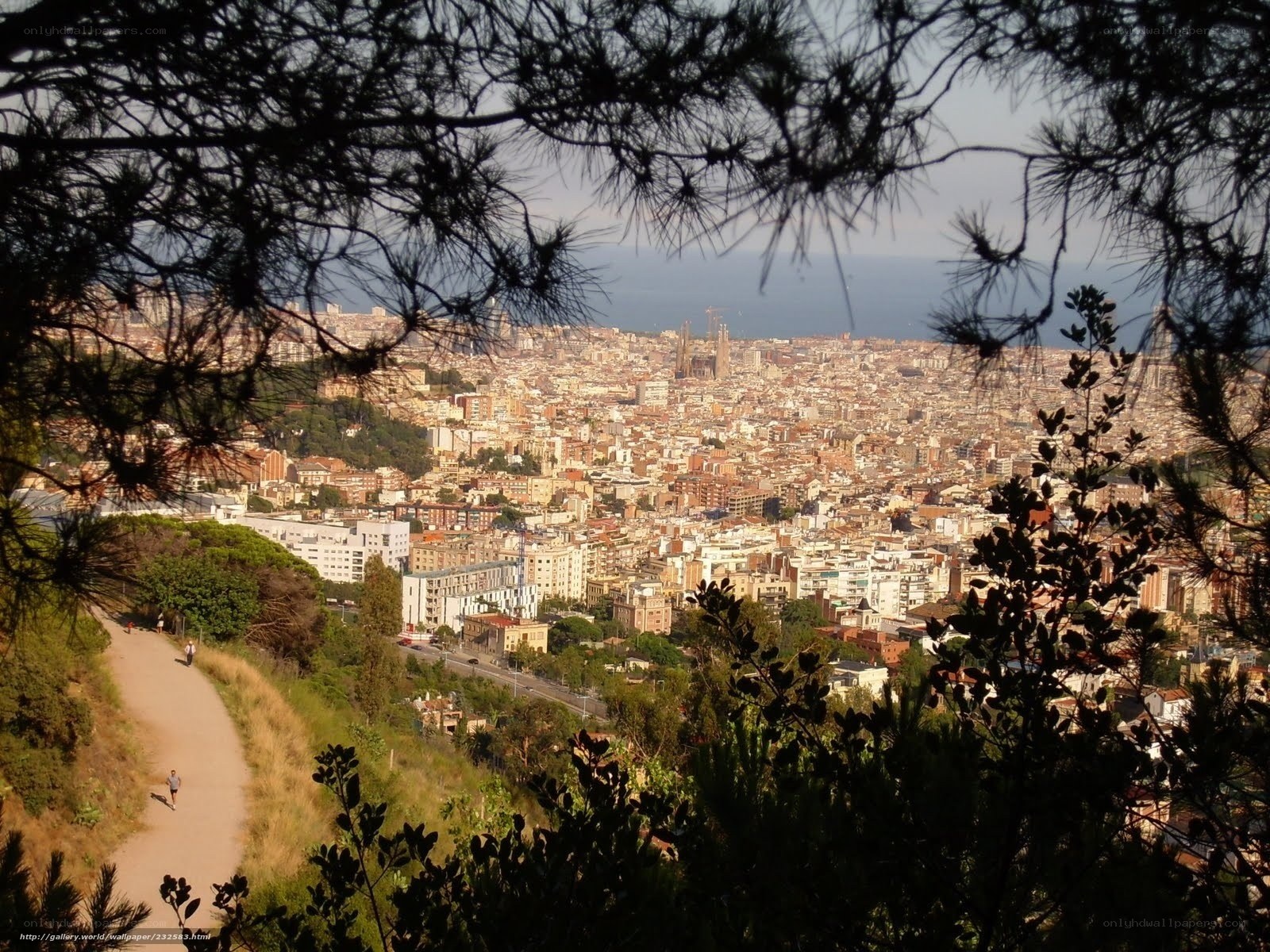 Barcelona cityscape from hill