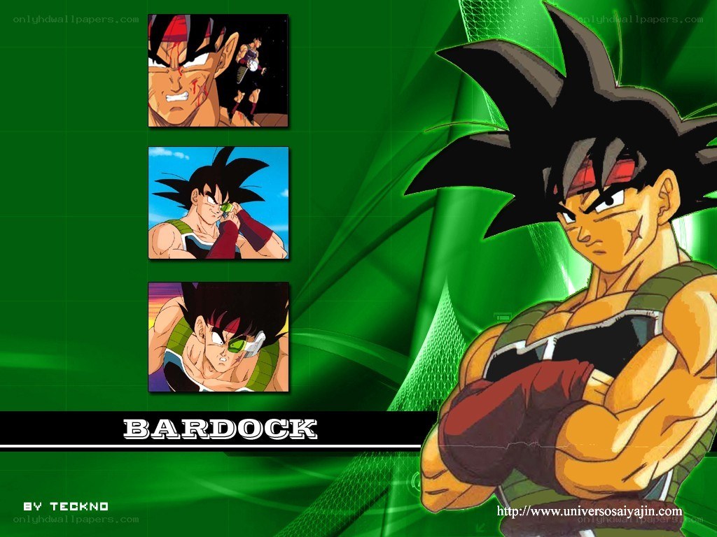 Bardock character collage