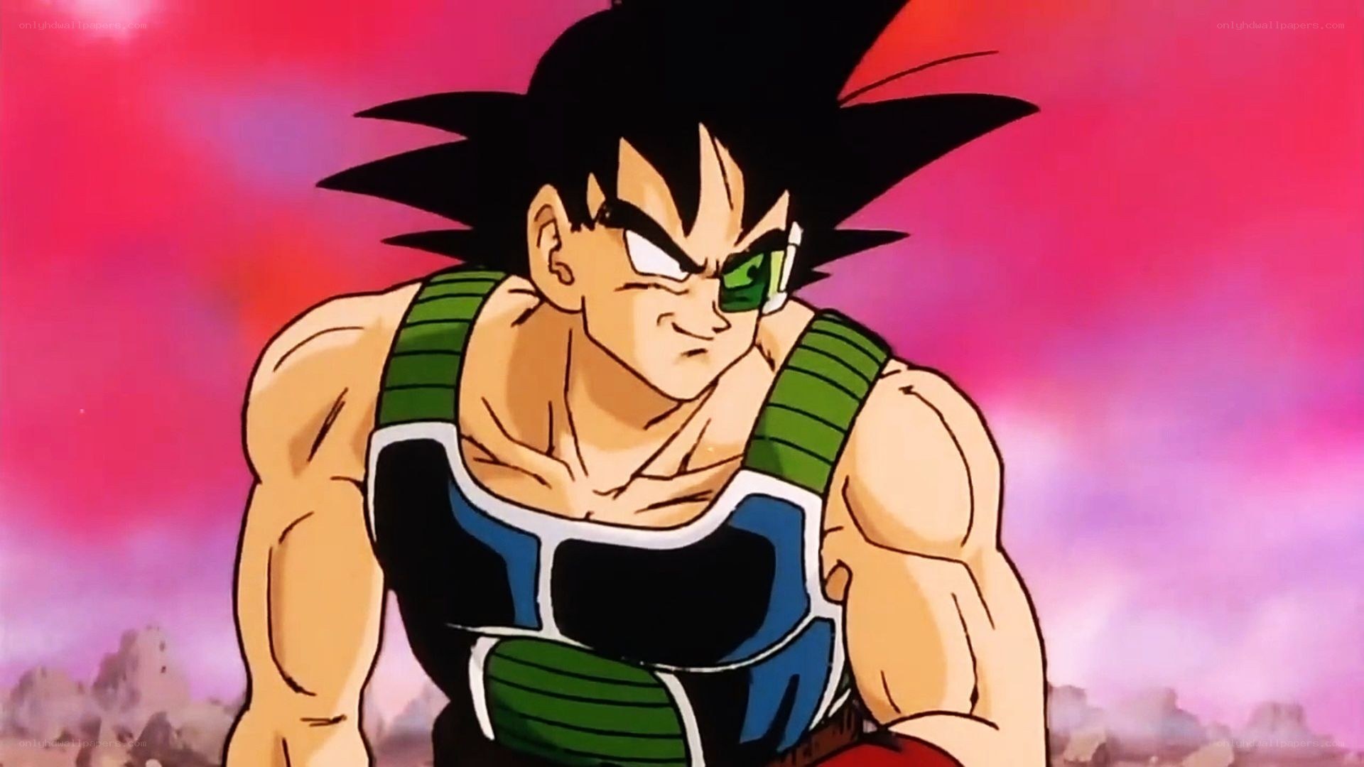 Bardock from Dragon Ball Z