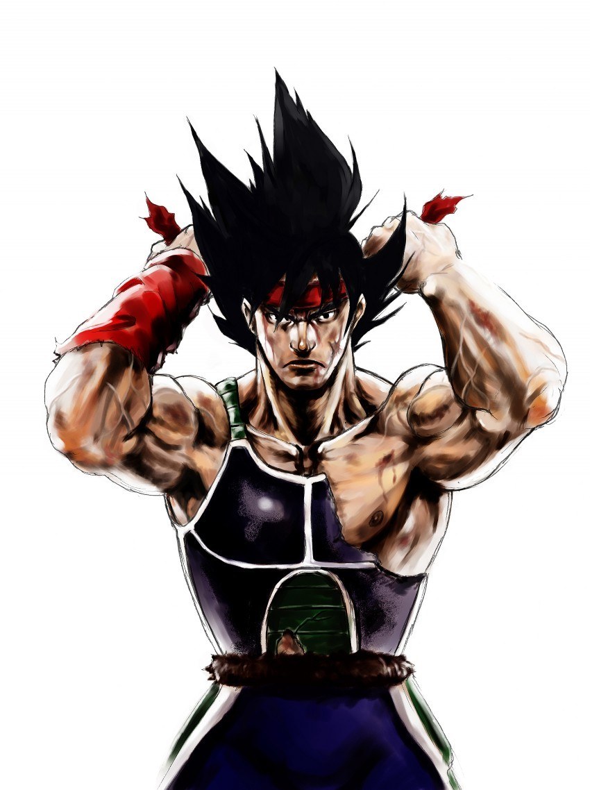 Bardock from Dragon Ball