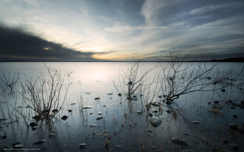 Bare Branches in Shallow Water