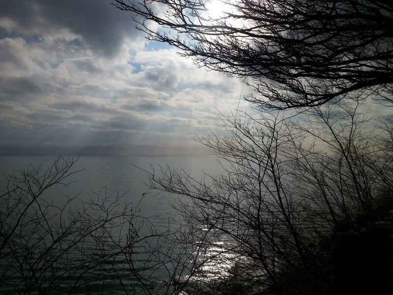 Bare Branches over Water — Gray
