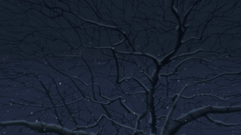 bare branches under starry sky