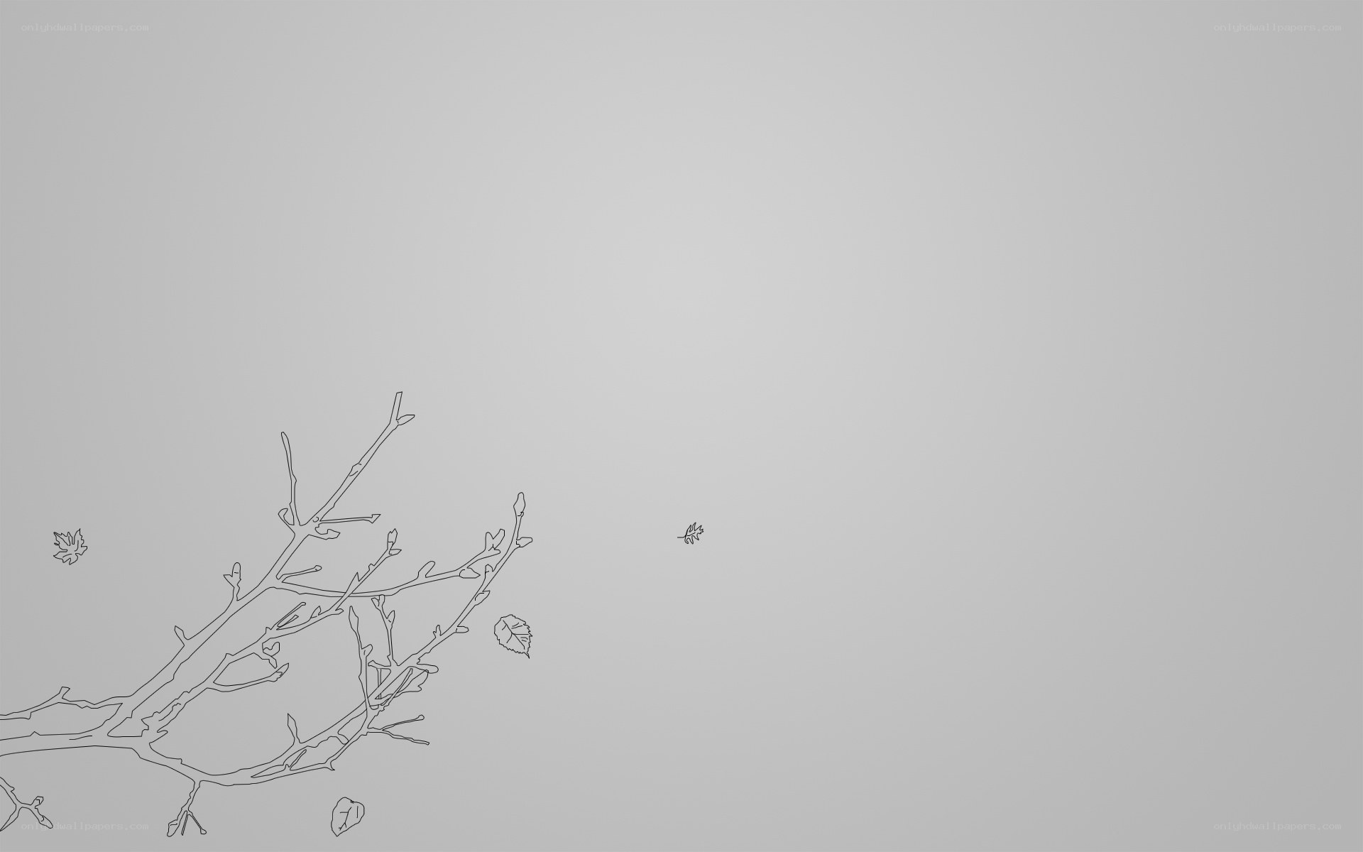 bare branches with falling leaves