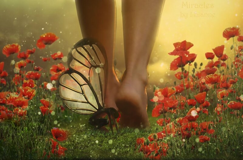 Bare Feet in Poppy Field
