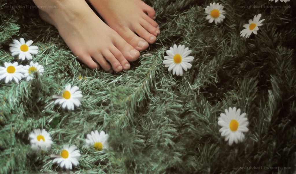 bare feet on daisies