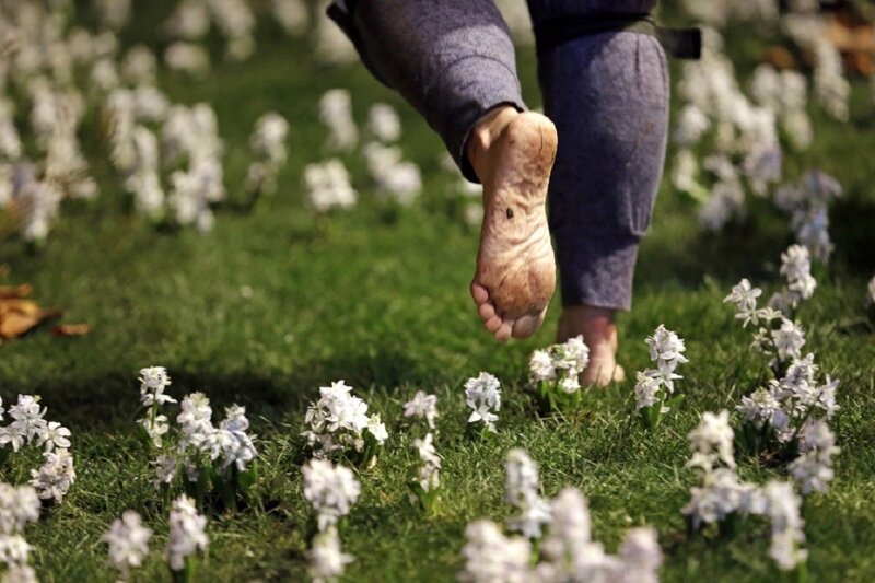 Bare Feet on Grass — Green, Serene