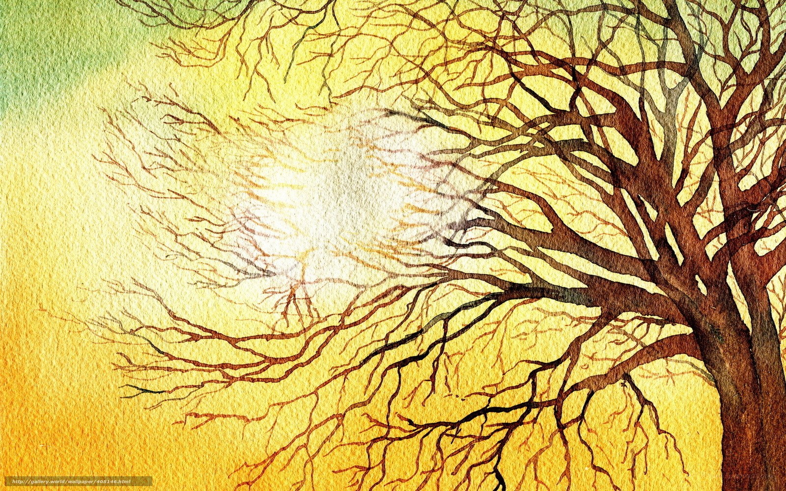Bare tree against golden sky