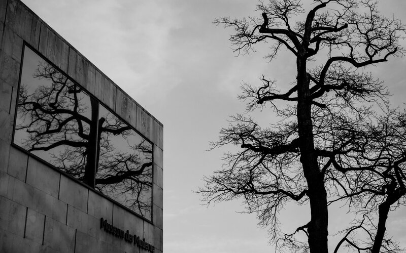 Bare Tree and Building