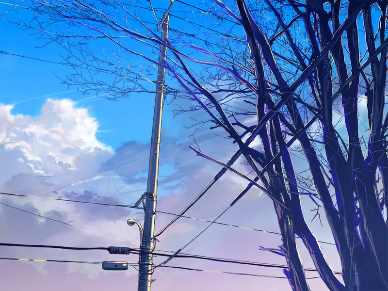 Bare Tree and Utility Pole