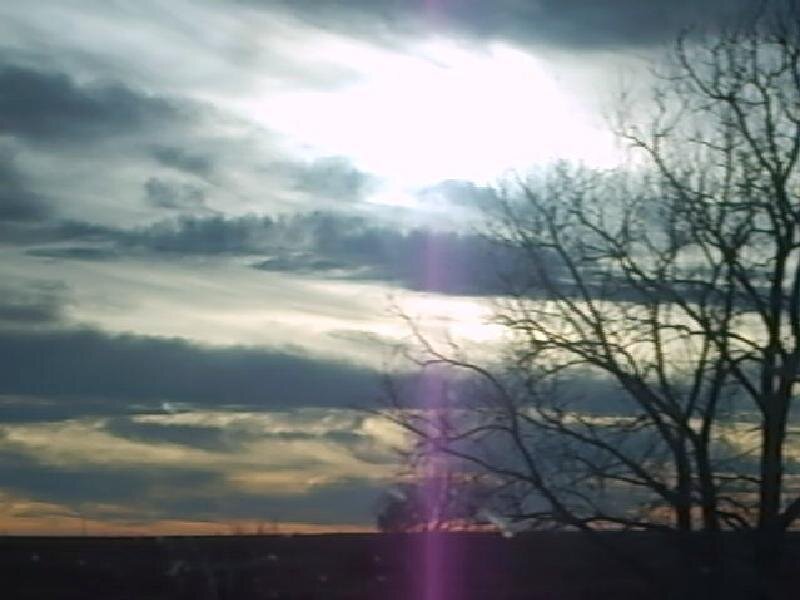 Bare Tree at Sunset — Gray