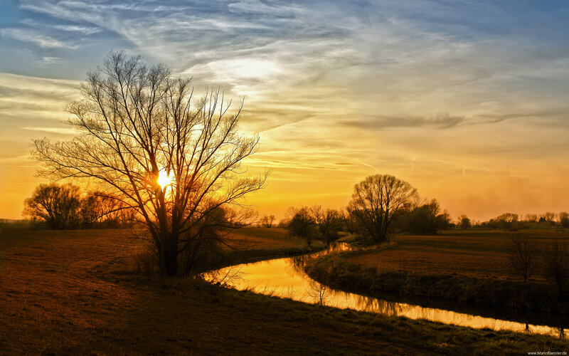 Bare Tree at Sunset — Orange, Serene, Photograph, River