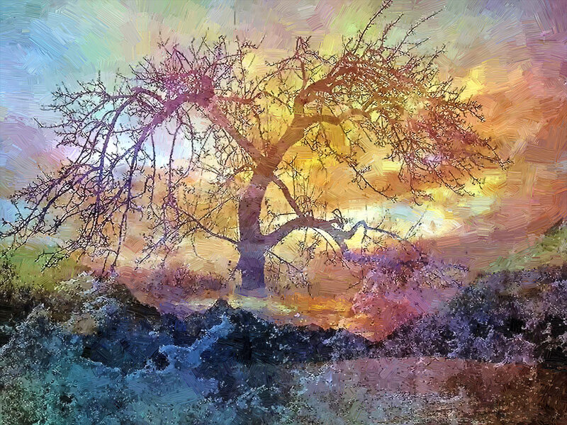 Bare Tree at Sunset — Yellow, Dramatic