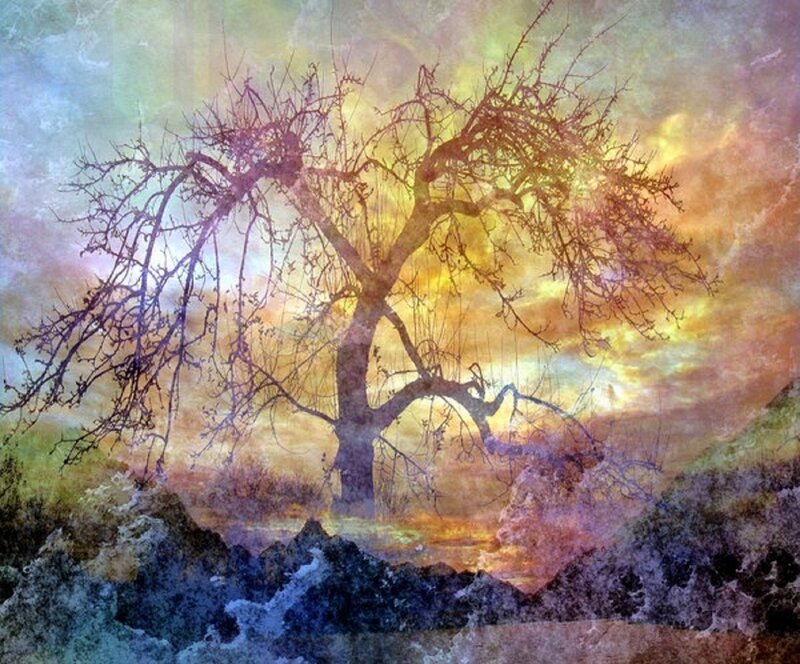 Bare Tree at Sunset — Yellow