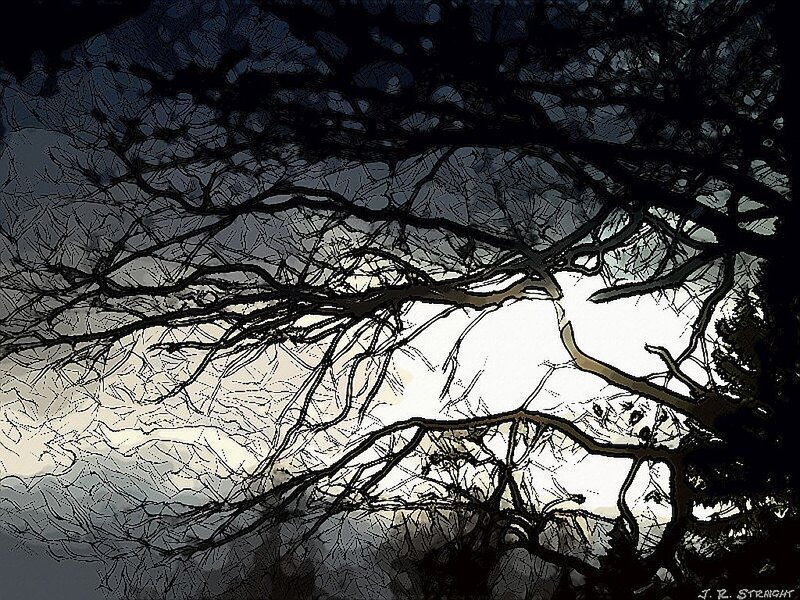 Bare Tree Branches — Black, Dramatic, Night, Digital Art