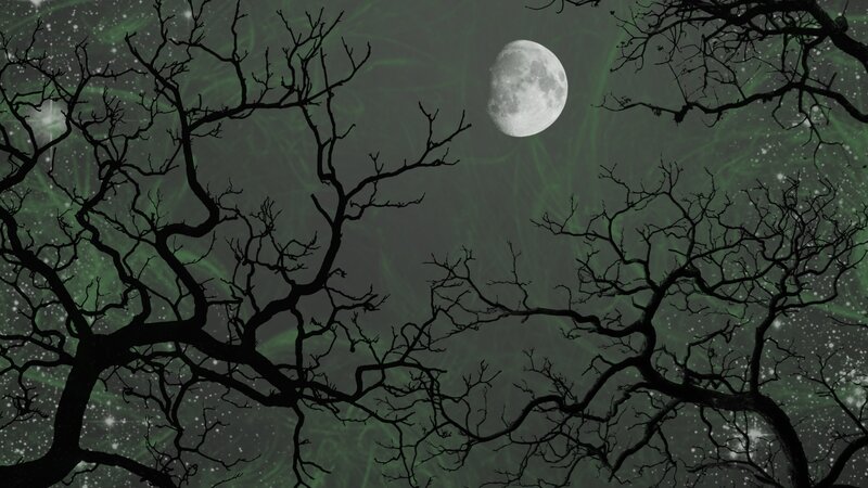 Bare Tree Branches — Black, Eerie