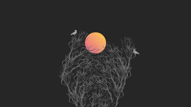 Bare Tree Branches — Black, Serene, Sunset