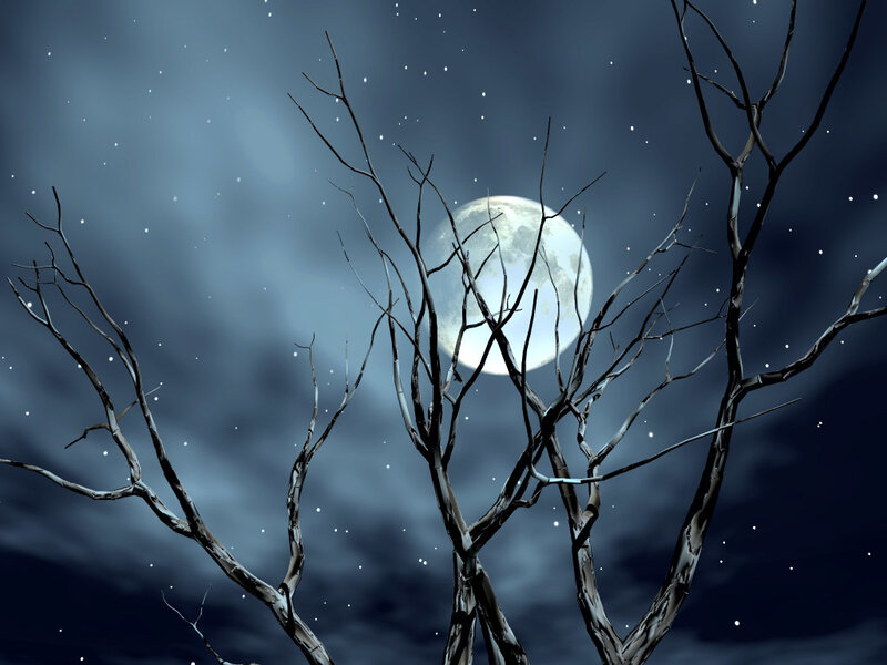 Bare Tree Branches — Blue, Dark, Night, Digital Art, Moon