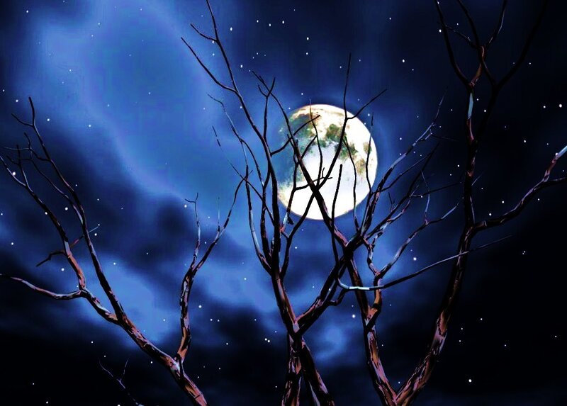 Bare Tree Branches — Blue, Dramatic, Night, Digital Art, Moon