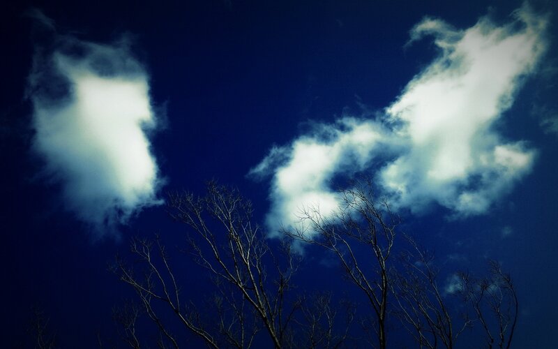 Bare Tree Branches — Blue, Dramatic, Night, Photograph, Clouds