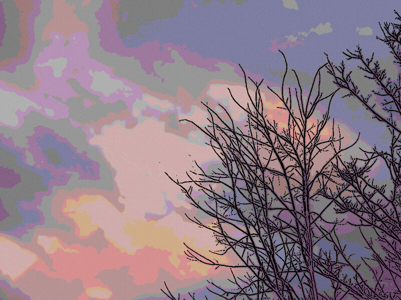 Bare Tree Branches — Purple, Calm