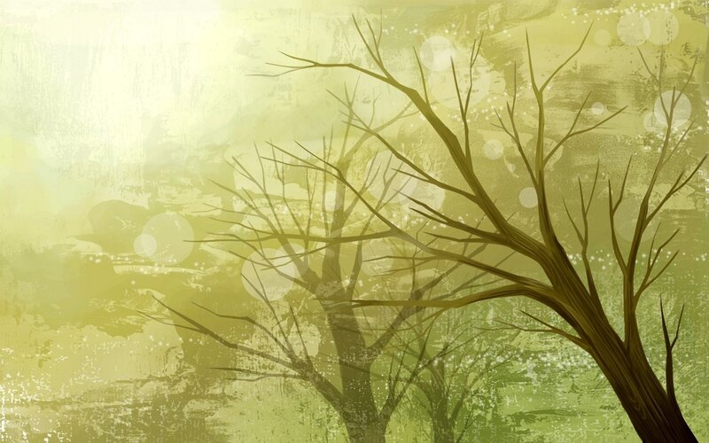 Bare Tree Branches — Yellow, Serene, Autumn