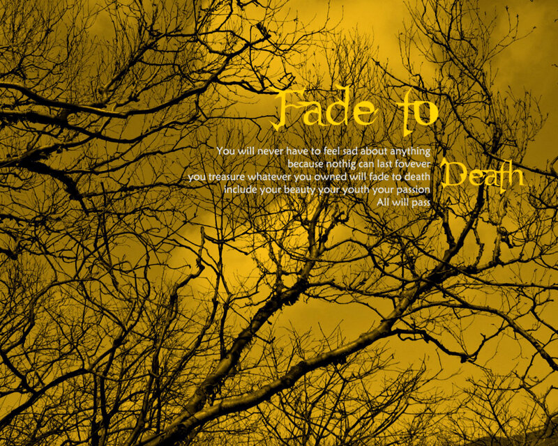 Bare Tree Branches — Yellow