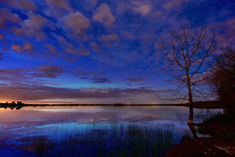 Bare Tree by Lake — Blue, Serene, Night, Photograph, Sky