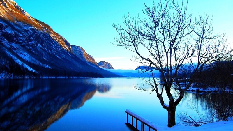 Bare Tree by Lake — Blue, Serene, Winter, Photograph, Mountain, Snow, White