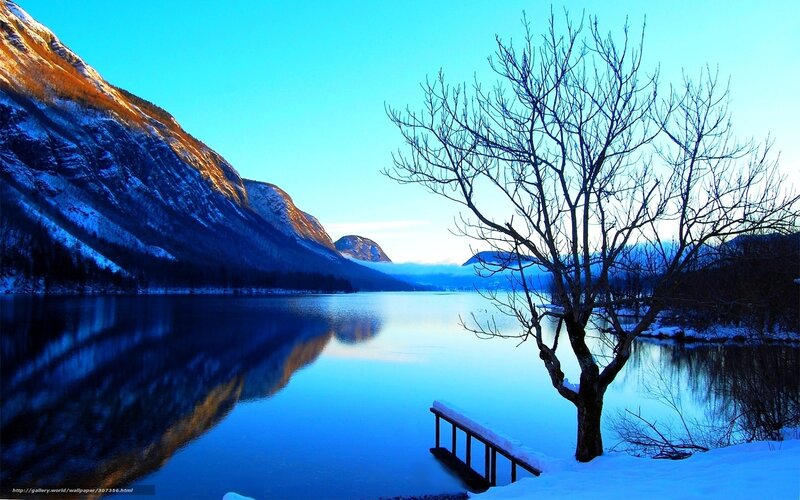 Bare Tree by Lake — Blue, Serene, Winter, Photograph, Mountain