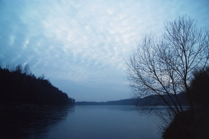 Bare Tree by River — Blue, Calm