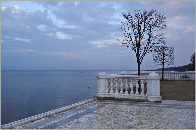 Bare Tree by Water — Blue