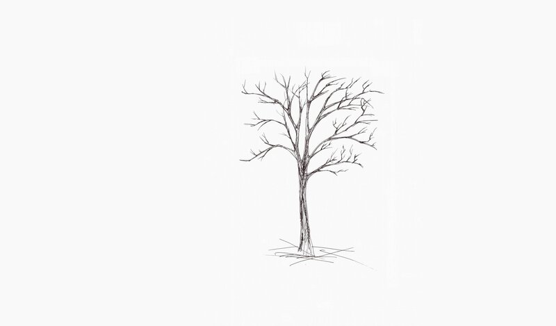 Bare Tree Drawing — Black