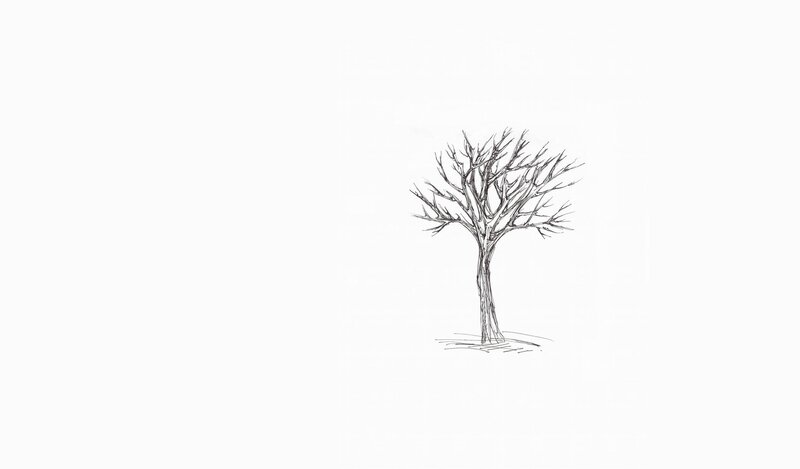 Bare Tree Drawing