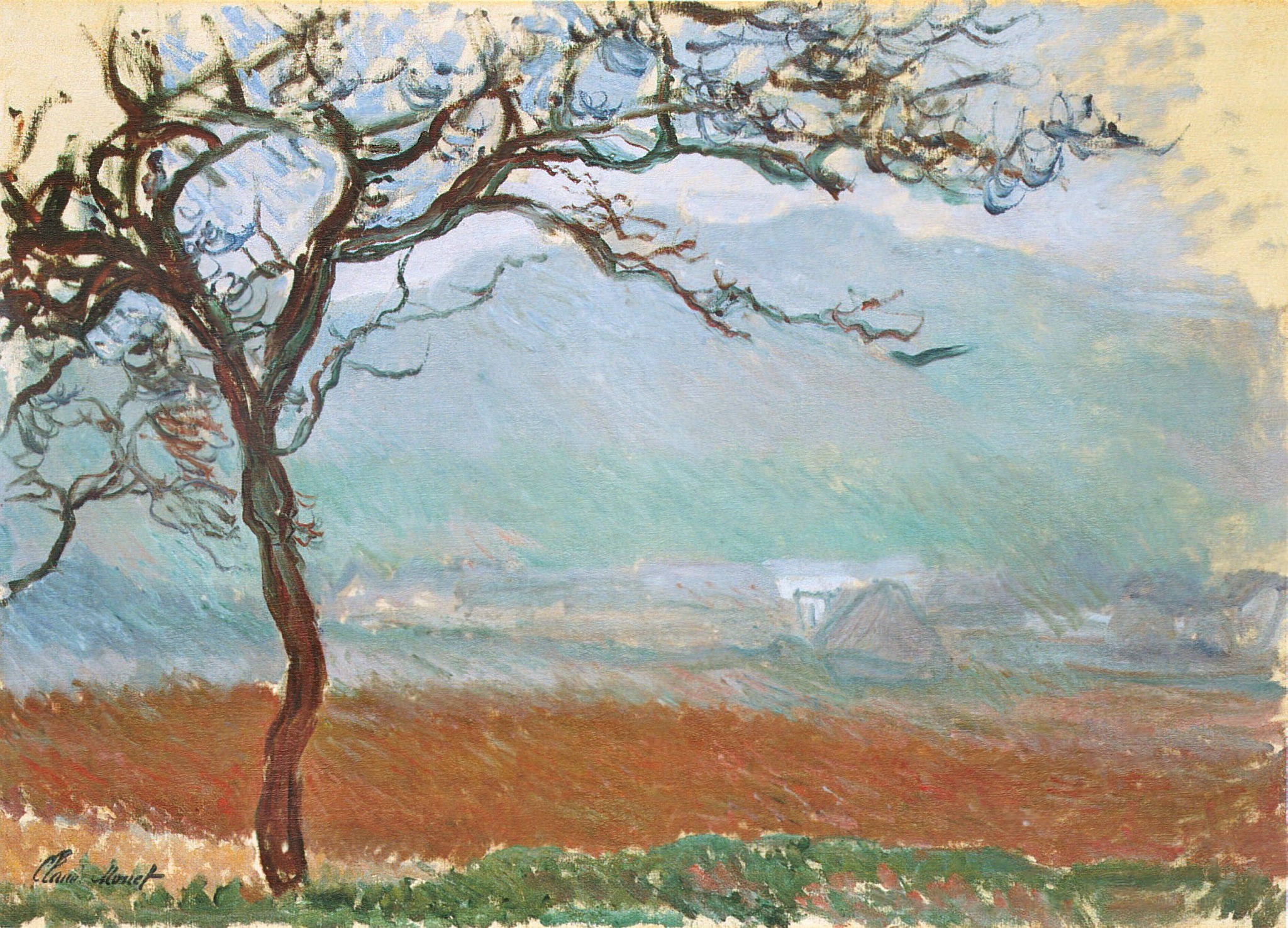 Bare Tree in a Field