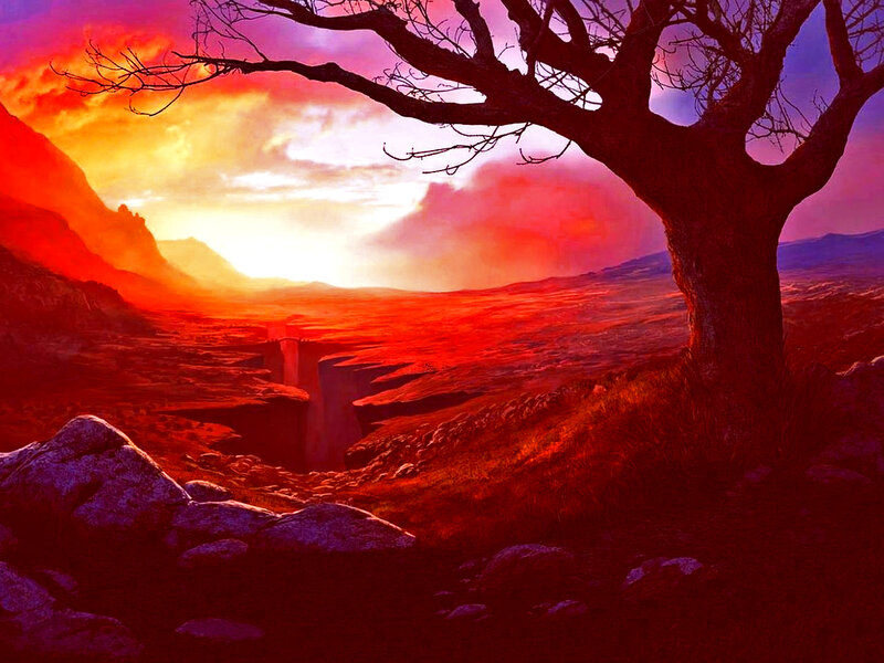 Bare Tree in Canyon