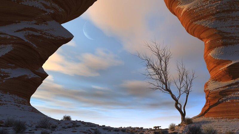 Bare Tree in Desert — Orange, Serene