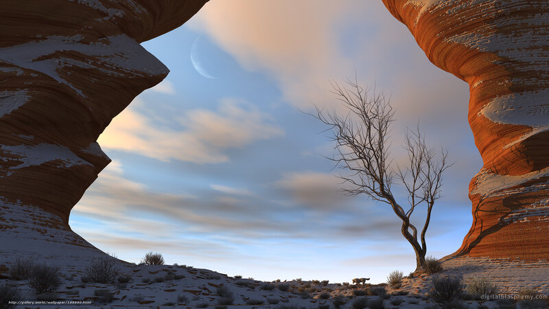 Bare Tree in Desert — Orange, Serene, Winter
