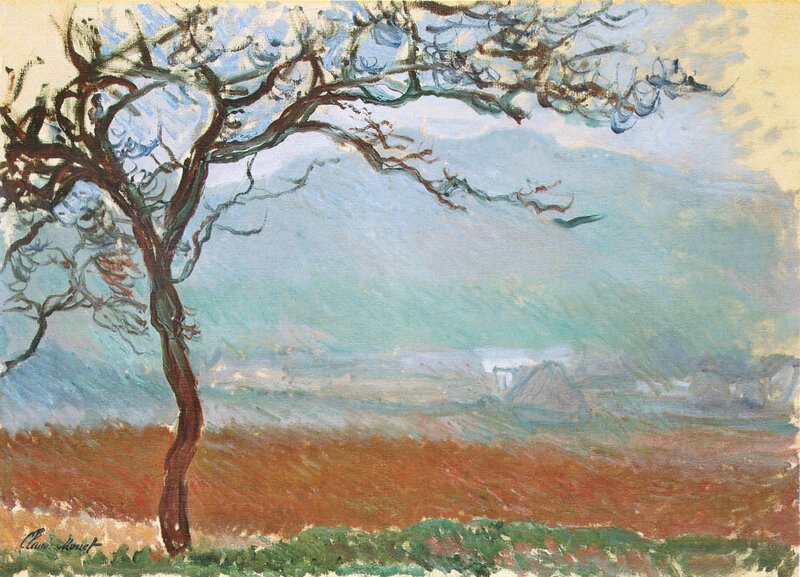 Bare Tree in Field — Brown, Calm, Spring